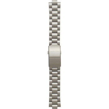 Silver Strap 20 mm