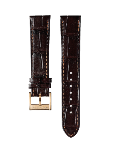 ジャズマスター BROWN STRAP 20mm - ストラップカラー:ブラウン