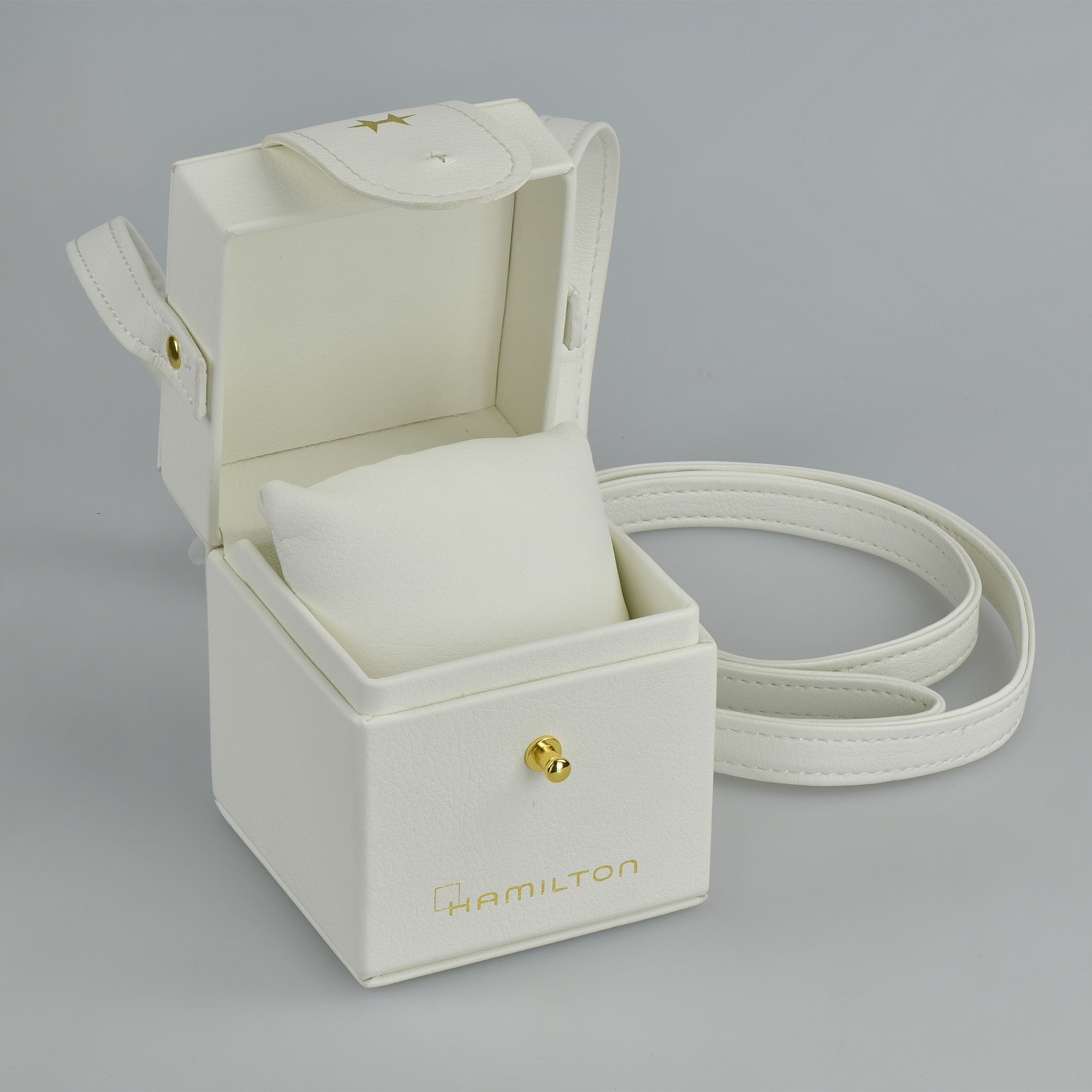 HAMILTON(ハミルトン) 腕時計美品  アメリカン クラシック H31201130 レディース ×JANIE BRYANT/4Pダイヤ 黒 H31201130 Lady Hamilton【HAMILTON X JANIE BRYANT カプセル